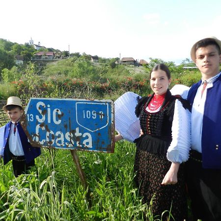 Csipkeszeg Bed&Breakfast Sic / Szék Romania Exterior foto