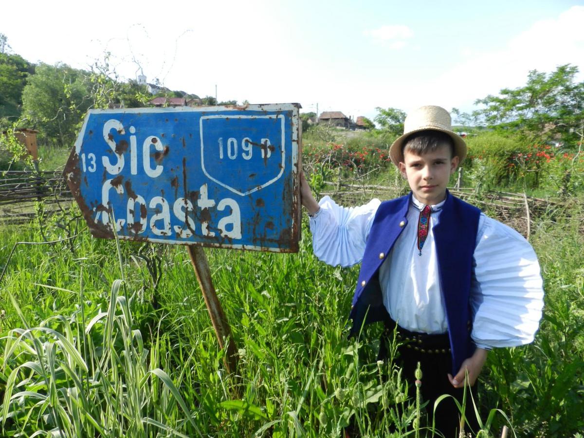 Csipkeszeg Bed&Breakfast Sic / Szék Romania Exterior foto