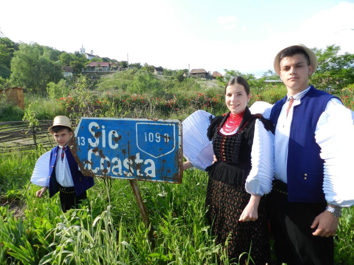 Csipkeszeg Bed&Breakfast Sic / Szék Romania Exterior foto