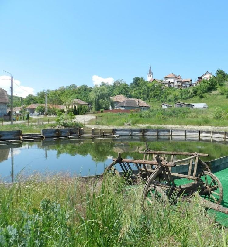 Csipkeszeg Bed&Breakfast Sic / Szék Romania Exterior foto