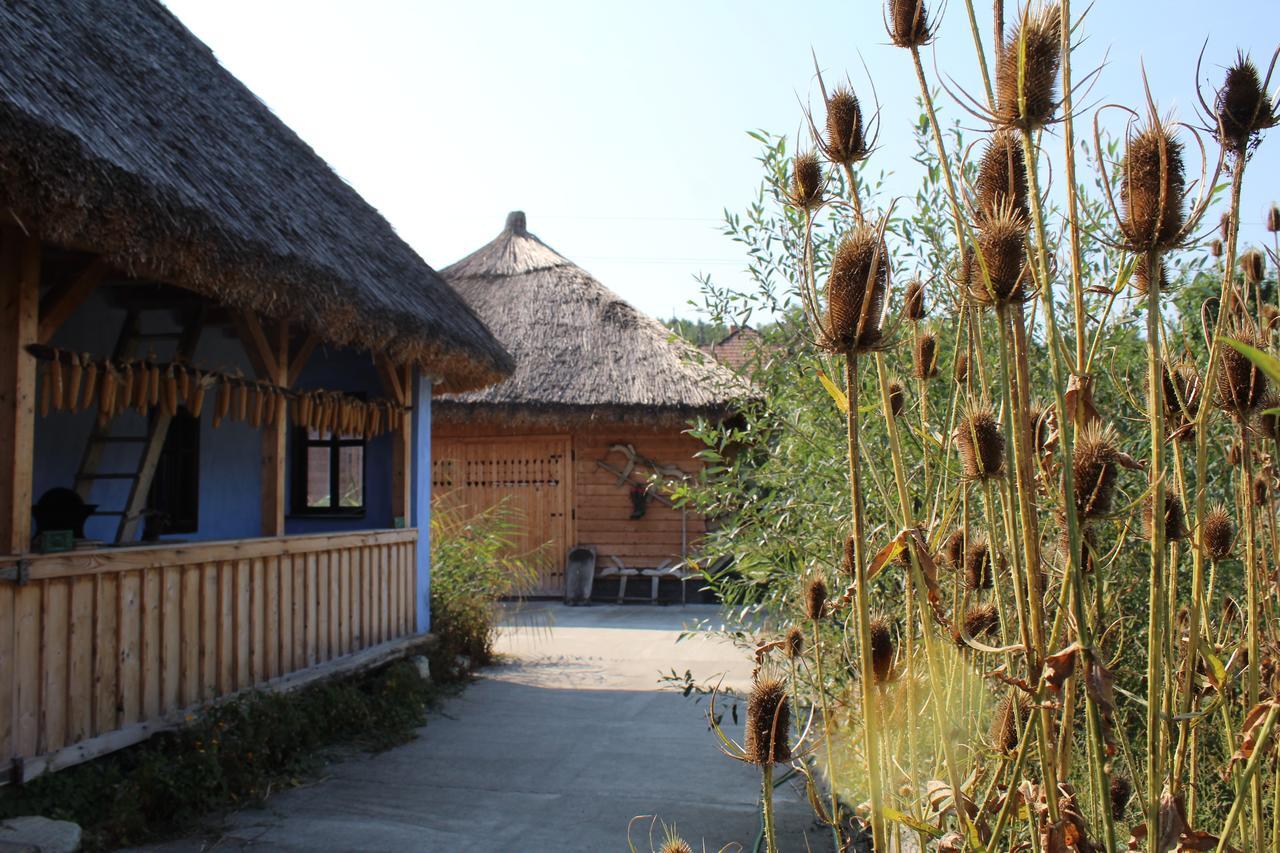 Csipkeszeg Bed&Breakfast Sic / Szék Romania Exterior foto