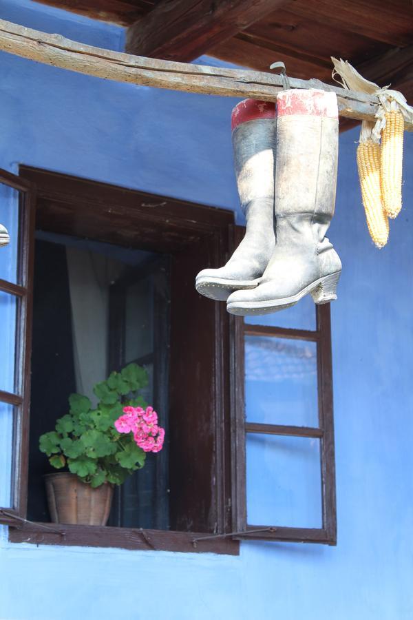 Csipkeszeg Bed&Breakfast Sic / Szék Romania Exterior foto